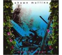 Shawn Mullins - Better Days