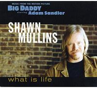 Mullins, Shawn - What Is Life