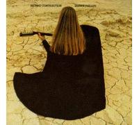 Shawn Phillips - Second Contribution