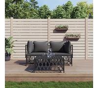 ShCuShan Juego Muebles de jardín baul Jardin Exterior Muebles terraza Exterior Juego de Muebles Jardin Exterior Muebles para terraza 3 pzas y Cojines Acero Gris Antracita 3186815