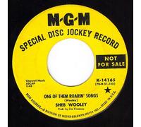 SHEB WOOLEY - One Of Them Roarin Songs/I Don't Belong In Her Arms (VG DJ 45 rpm)