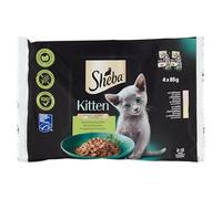 Sheba Gatito en salsa con salmón y pollo, alimento húmedo completo para gatitos, 20 bolsas de 85 g (5 x 4 x 85 g)