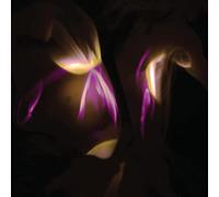 SHEDIR - Before The Last Light Is Blown [Vinilo]