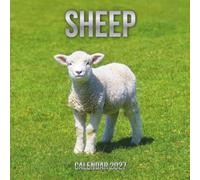 Sheep Calendar 2027: 14-Month Organizer from Nov 2026 to Dec 2027 | Perfect for Home, Office, School & Family Scheduling, For Men , Women , Girls , Boys
