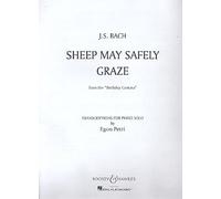 Sheep may safely graze: from the Birthday Cantata BWV 208. piano.