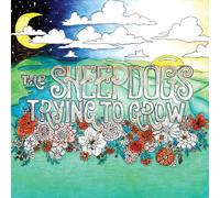 Sheepdogs, the - Trying to Grow