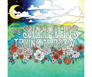 Sheepdogs, the - Trying to Grow
