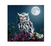 SHEGZHUC 40 x 40 cm pintura de diamante búho pintura de diamantes flores luna diamante cuadros búho pintura diamante imágenes animales pintura diamante arte bordado punto de cruz imágenes regalo