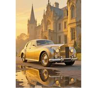 SHEGZHUC 40 x 50 cm pintura de diamante para adultos coche castillo, cuadros de pintura de diamante para coche, palacio paisaje, mosaico bordado punto de cruz, regalo de arte, decoración de pared para