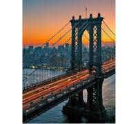 SHEGZHUC 40 x 50 cm pintura de diamante para adultos Manhattan Bridge, cuadros de pintura de diamante Puente de Nueva York, bordado de mosaico de punto de cruz, arte, regalo, decoración de pared para