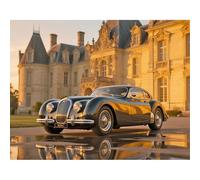 SHEGZHUC 50 x 40 cm pintura de diamante para adultos coche castillo, cuadros de pintura de diamante para coche, paisaje palacio, mosaico bordado punto de cruz arte regalo, decoración de pared para