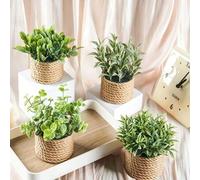 Shein 1/2pcs/Set Plantas artificiales en maceta mini de mimbre, tejidas con cuerda de algas, 3 diseños diferentes, material PE verde, adecuado para escritor