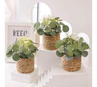 Shein 1/3 piezas Planta artificial de eucalipto con flores pequeñas en maceta, cuerda de algas marinas, incluye maceta, material de PE, decoración de mesa,