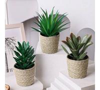 Shein 1/3 piezas Plantas artificiales de ratán en maceta pequeña, plantas de bambú colgantes, hierba de ortiga, cuerda de algas, verde, material PE, materia