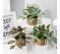Shein 1/3 piezas Plantas en maceta pequeñas de ratán artificial, plantas en maceta colgantes de bambú, hierba de ortiga, cuerda de algas, verde, material de