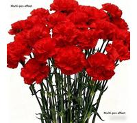 Shein 1/5/10/20/30/40/50 piezas Claveles artificiales, flores falsas, claveles de seda para el Día de la Madre y el Día de San Valentín, adecuados para cent