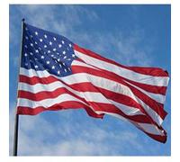 Shein 1 bandera estadounidense de 3x5 pies, 20 banderines de cuerda estadounidenses de 20 pies, 5 banderas de mano estadounidenses + 5 ventosas de PVC trans