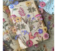 Shein 1 Paquete 40 Hojas Forest Plants, Leaves, Fruits Pegatinas De Decoración Para Bricolaje Vintage Floral De Scrapbooking papelería manualidades libro de