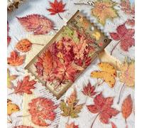 Shein 1 paquete de 40 hojas de pegatinas estilo plantas de bosque vintage para diario, álbum de recortes, álbum, revista, planificador, decoración DIY, regr
