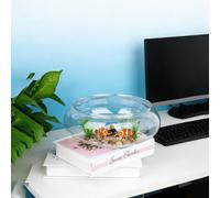 Shein 1 pieza/2 piezas Pecera transparente, jarrón, tanque de peces beta de plástico redondo de 2,8 litros y maceta hidropónica, contenedor de plantas acuát