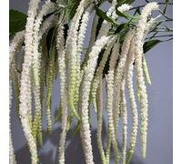 Shein 1 pieza Amaranto artificial colgante Lágrimas falsas de amante Planta verde falsa para decoración de compromiso, boda, banquetes, hotel, sala de expos