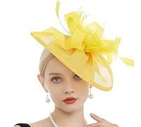 Shein 1 PIEZA Fascinador de sombrero para mujeres - Diadema con clip de pluma, malla y cinta de flores de estilo años 50 y 60, elegante para té, Kentucky De