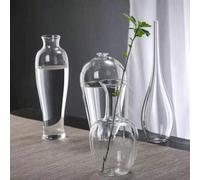 Shein 1 pieza Jarrón de vidrio transparente para flores para decoración del hogar, mesa, sala de estar, nueva cultura acuática zen china, botella de Buda