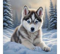 Shein 1 pieza Kit de pintura de diamantes con tema de Husky sin marco - Pintura de diamantes de perforación completa, Juego de artesanía de mosaico de lienz