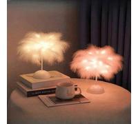 Shein 1 pieza Lámpara de plumas de 25 cm (9.84 pulgadas) con 40 LED, estilo minimalista moderno, luz de decoración de escritorio, romántica y personalizada,