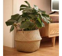 Shein 1 pieza Macetero grande de planta de mimbre marino tejido a mano para interiores y exteriores, cesta vintage de estilo con asa para decoración de hoga