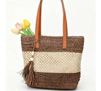 Shein 1 pieza Nuevo bolso de playa de estilo casual con borlas bicolor tejido, bolso de hombro, bolso de playa, bolso de viaje, regalo del Día de San Valent