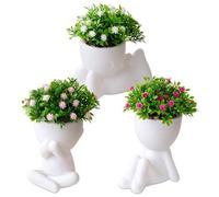 Shein 1 pieza/Set de 3 piezas Plantas artificiales de Manzanita, planta de Manzanita en maceta de estilo de dibujos animados con un solo hombrecillo en colo