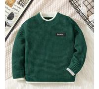 Shein 1 pieza Suéter básico de parche en inglés 2 en 1 para niños pequeños, adecuado para conjuntos de ropa de niños, ropa de niño, regreso a la escuela, ad