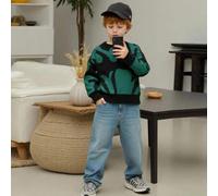 Shein 1 pieza Suéter informal de estilo callejero para niño pequeño, cómodo y suave, con estampado minimalista de bloque de color con letra, adecuado para v