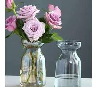 Shein 1 pieza Vaso de vidrio para árbol de aguacate - Kit de plantación de árbol de aguacate Maceta Planta de bellota Bola de vidrio Florero, Adecuado para