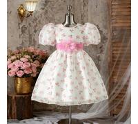 Shein 1 pieza Vestido de princesa hinchado de verano para niñas con cuello redondo, tela de organza, estampado floral, mangas de globo, contraste de cintura