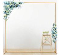 Shein 1 Set de Arco de Globos Metálico Cuadrado de 200*200cm/300*300cm/150*200cm, Arco de Boda, Soporte de Fondo Rectangular para Aniversario, Boda, Fiesta