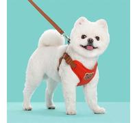 Shein 1 Set de Correa para Mascotas con Patrón Lindo de Oso de Peluche, Hecha de Poliéster Transpirable y Cómoda, Adecuada para Pasear Perros Pequeños de Ra