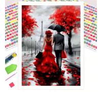 Shein 1 Set Kit de Pintura de Diamantes Romántica, Tema de Vestido de Novia de Pareja en Noche Lluviosa de París, Decoración Romántica para el Hogar, Decora