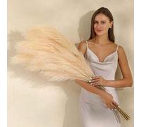 Shein 100/80/60/50 piezas/30 piezas/20 piezas/15 piezas/10 piezas/1 pieza de 55CM / 97CM Hierba de Pampas artificial de color rosa, decoración de 1,8 pies d