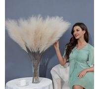 Shein 100/80/60/50 piezas/30 piezas/20 piezas/15 piezas/10 piezas/1 pieza de 55cm/97cm Planta artificial de hierba de pampas beige falsa, decorativa de gran