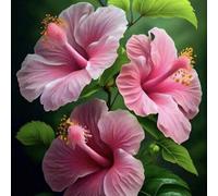 Shein 100 piezas de flores de hibisco - Planta perenne resistente, fácil de cultivar, plantas perennes de plantas tropicales para plantar en el jardín, en l