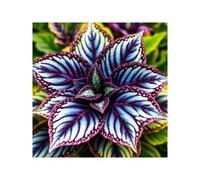 Shein 100 piezas de semillas de Cala-Dium Hostas, semillas de bonsái, plantas de interior para el hogar y semillas de flores de jardín, un conjunto diverso