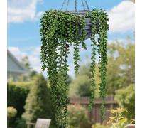 Shein 2/1 pieza Planta suculenta artificial elegante de Chloroplastida - Planta verde realista de perlas, planta colgante de lágrimas de amante bifurcada, p