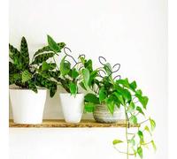 Shein 2 piezas Soporte para trepar plantas, Soporte para plantas en macetas al aire libre, Soporte creativo para flores, Enrejado para enredaderas, Soporte