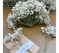 Shein 25/50/100/150/300 piezas Mini Gipsofilia y otras flores artificiales - Para manualidades, accesorios para el cabello, coronas de boda, flores de mesa,