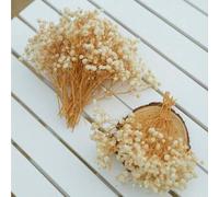 Shein 25/50/100/300 piezas Flor seca de Paniculata en bruto, flores de yeso natural para corona de boda, ducha nupcial, decoración de florero en el hogar, e