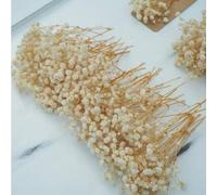 Shein 25/50/100/300 piezas Flor seca de Paniculata en bruto, flores de yeso natural para corona de boda, ducha nupcial, decoración de florero en el hogar, e