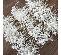 Shein 25/50/100/300 piezas Flor seca de Paniculata en bruto, flores de yeso natural para corona de boda, ducha nupcial, decoración de florero en el hogar, e