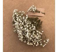 Shein 25/50/100/300 piezas Flor seca de Paniculata en bruto, flores de yeso natural para corona de boda, ducha nupcial, decoración de florero en el hogar, e